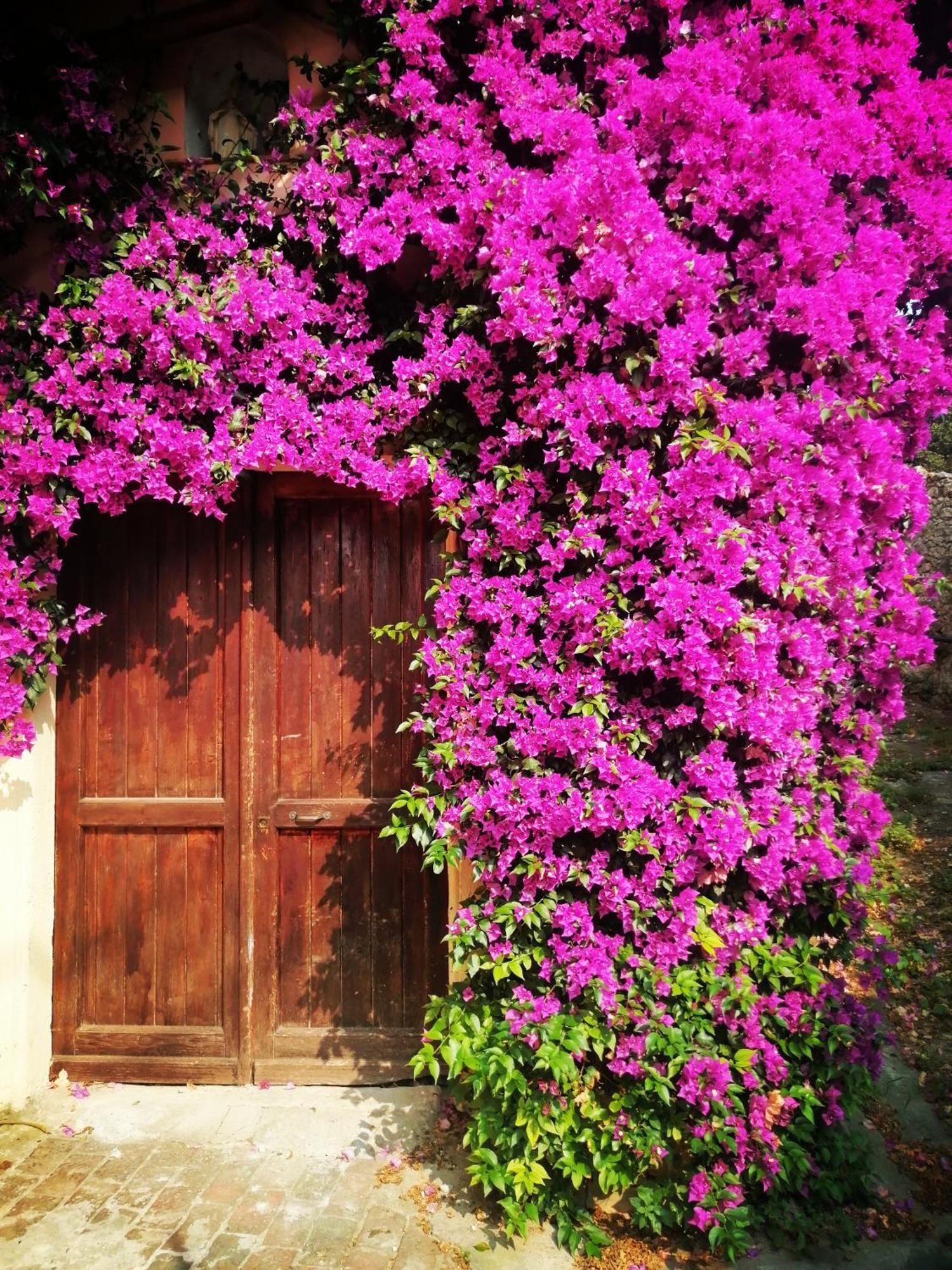 פינאלה ליגורה B&B Il Girasole מראה חיצוני תמונה