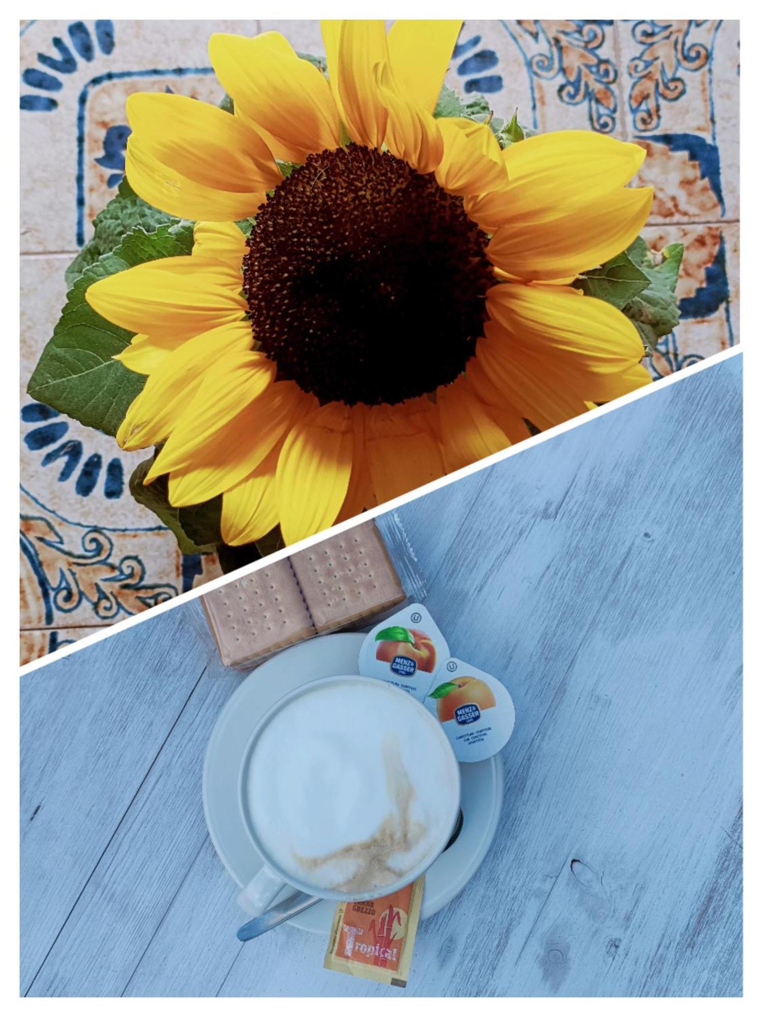 פינאלה ליגורה B&B Il Girasole מראה חיצוני תמונה